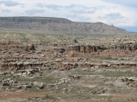 Wyoming desert